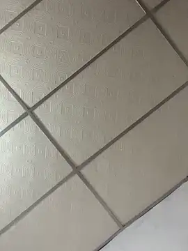 meliodas 23cm online show from March 11, 2026, 4:40 am