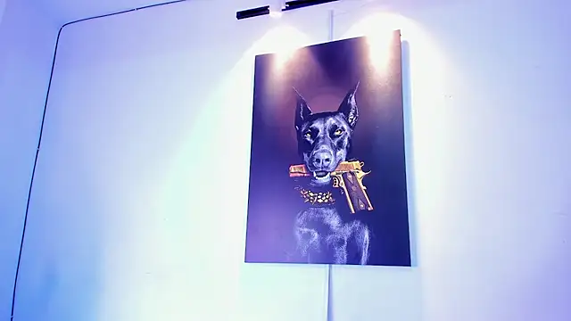 stiven 24cm online show from November 28, 2025, 7:11 am