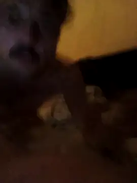 Snapshot of putosemlimiti chatting on November 8, 2025, 11:58 pm putosemlimiti online show from November 8, 2025, 11:58 pm