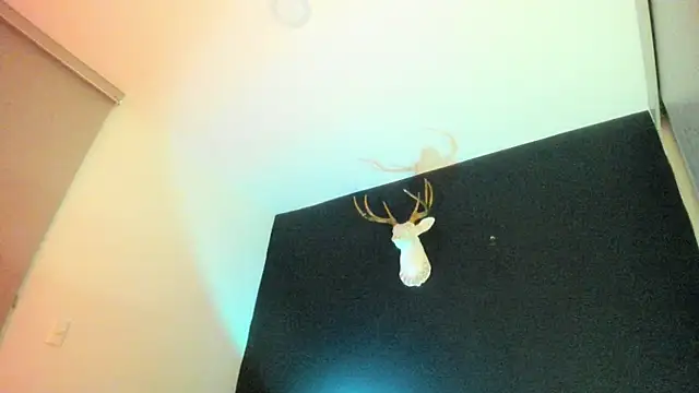 Zeus Jeff online show from February 19, 2026, 1:34 am