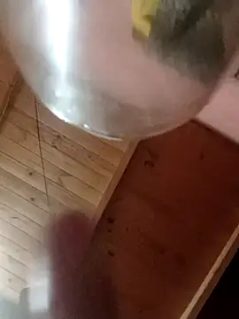 Camicam 04 online show from November 16, 2025, 6:30 am