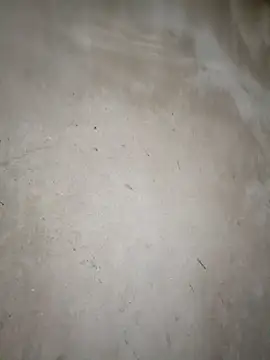 blonde blg online show from March 14, 2026, 11:32 pm