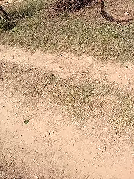 Neetujk online show from November 17, 2025, 5:02 am