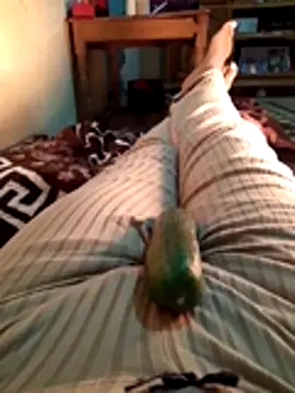 Tota sexi online show from November 28, 2025, 10:51 am