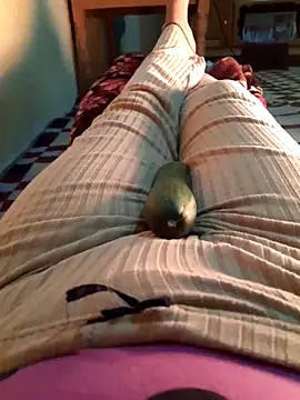 Tota sexi online show from December 1, 2025, 9:36 am