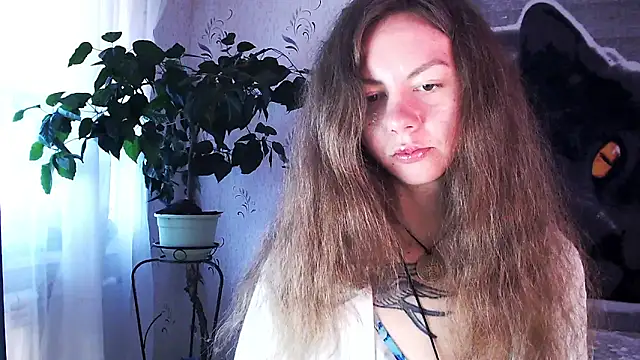 Personal Bulldozer online show from December 22, 2025, 8:33 am