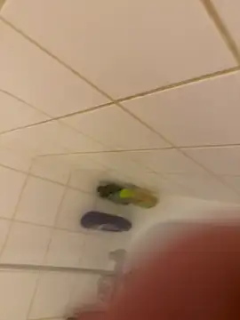 lucpompot online show from January 15, 2026, 11:59 am