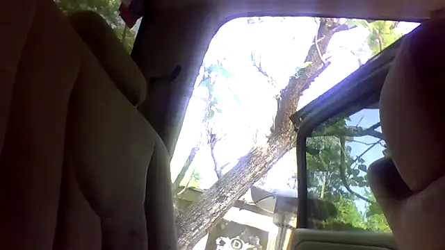 dickencidr online show from April 15, 2026, 6:48 pm