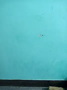 Snapshot of Sexacock01 chatting on February 4, 2026, 11:16 am Sexacock01 online show from February 4, 2026, 11:16 am