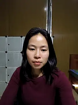 Cat-meow online show from March 17, 2026, 6:39 am