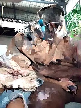 chathu danu online show from December 1, 2025, 9:53 pm