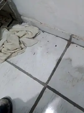 Paugostoso270515 online show from April 10, 2026, 3:17 pm