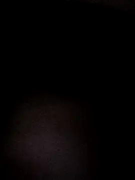 Zinexraj online show from November 20, 2025, 7:02 pm