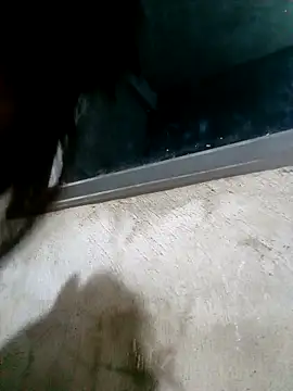 Ava-120 online show from February 17, 2026, 3:08 pm