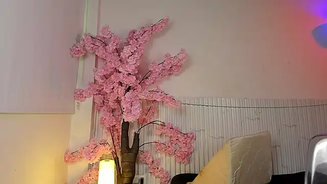 Nicole diaz7 online show from December 1, 2025, 1:16 pm