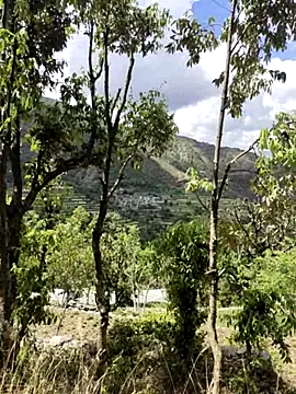 Cute Lucky online show from April 9, 2026, 6:19 am