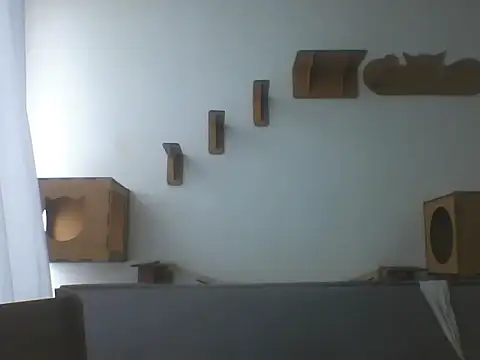 Temp7 online show from February 21, 2026, 1:23 pm