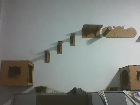 Temp7 online show from February 25, 2026, 11:47 pm