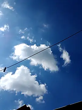 Eezxxx online show from December 17, 2025, 7:14 am