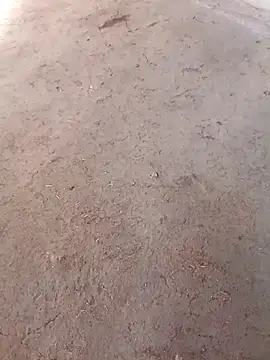 Nandani-758 online show from December 2, 2025, 10:09 am