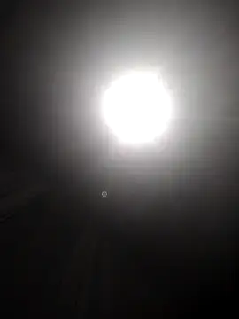 Gzinho69ik online show from December 18, 2025, 4:51 am