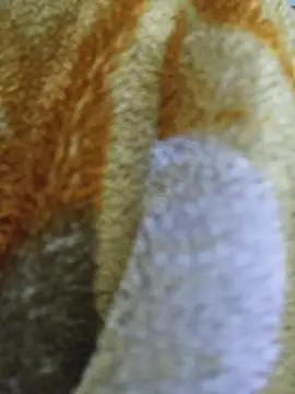 luckyutube online show from December 21, 2025, 3:30 pm