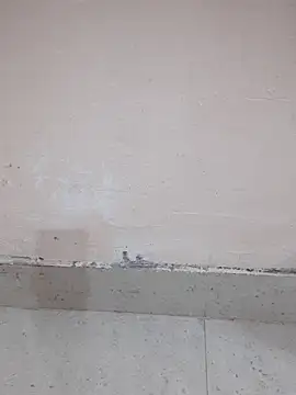 Alli8900 online show from March 19, 2026, 4:11 pm