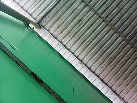 Lin-kute98 online show from April 7, 2026, 12:55 am