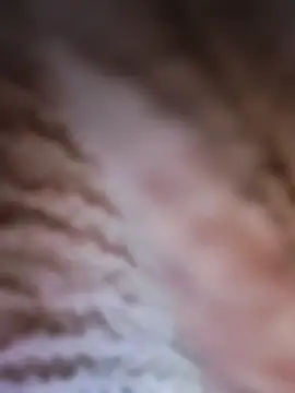 Punam panjabi online show from February 28, 2026, 7:53 am