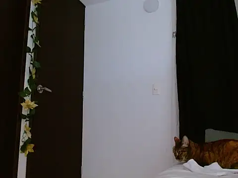 seductrixee online show from January 12, 2026, 12:16 am