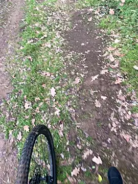 Snapshot of marconordic chatting on February 7, 2026, 2:21 pm marconordic online show from February 7, 2026, 2:21 pm