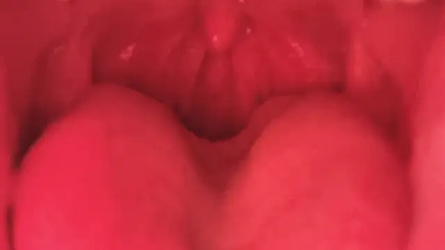 Snapshot of LT-333 chatting on January 11, 2026, 3:50 pm LT-333 online show from January 11, 2026, 3:50 pm