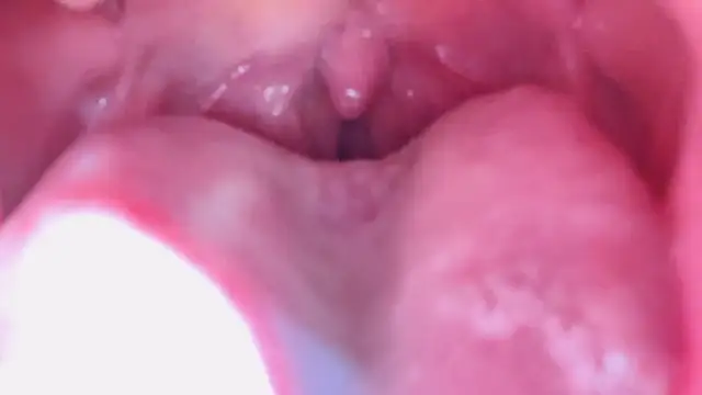 Snapshot of LT-333 chatting on January 17, 2026, 7:17 pm LT-333 online show from January 17, 2026, 7:17 pm