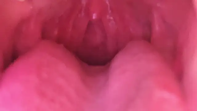 Snapshot of LT-333 chatting on January 18, 2026, 7:23 am LT-333 online show from January 18, 2026, 7:23 am