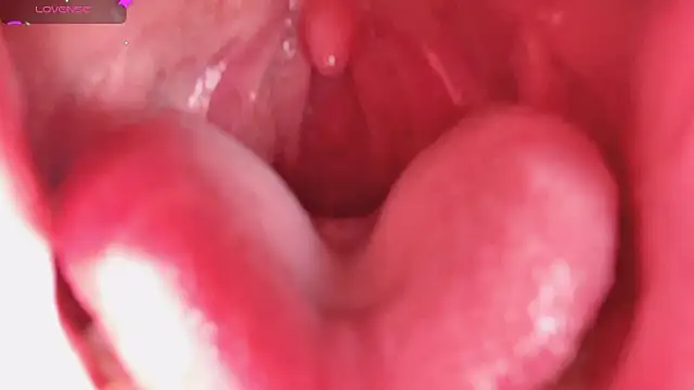 Snapshot of LT-333 chatting on February 5, 2026, 8:24 pm LT-333 online show from February 5, 2026, 8:24 pm