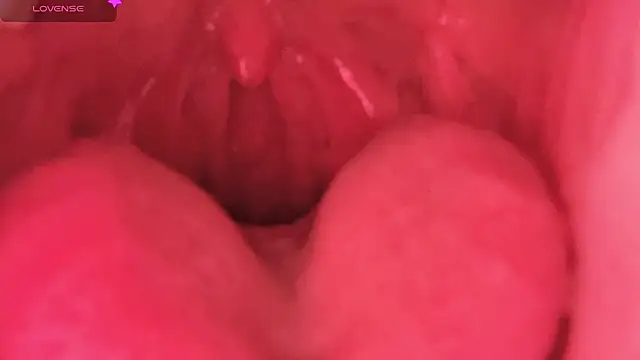 Snapshot of LT-333 chatting on February 7, 2026, 8:45 pm LT-333 online show from February 7, 2026, 8:45 pm