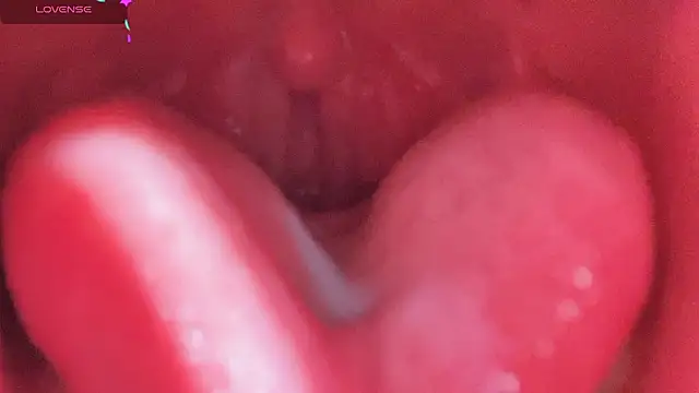 Snapshot of LT-333 chatting on February 25, 2026, 5:11 pm LT-333 online show from February 25, 2026, 5:11 pm