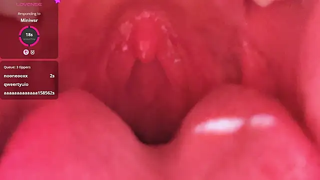 Snapshot of LT-333 chatting on February 26, 2026, 5:23 pm LT-333 online show from February 26, 2026, 5:23 pm