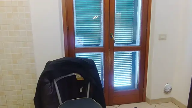 AMIRDIB2025 online show from February 21, 2026, 10:27 am