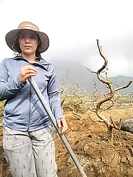 Alibabapi online show from March 25, 2026, 2:17 am