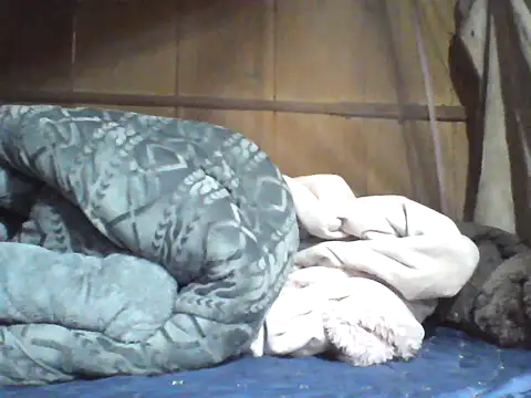 Alibabapi online show from April 8, 2026, 7:30 am