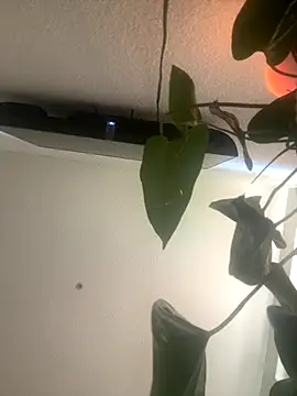 Snapshot of redheadangel_5 chatting on November 29, 2025, 10:35 pm redheadangel 5 online show from November 29, 2025, 10:35 pm