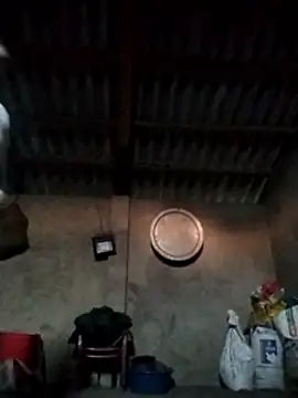 LeoPet2x online show from December 15, 2025, 9:46 am