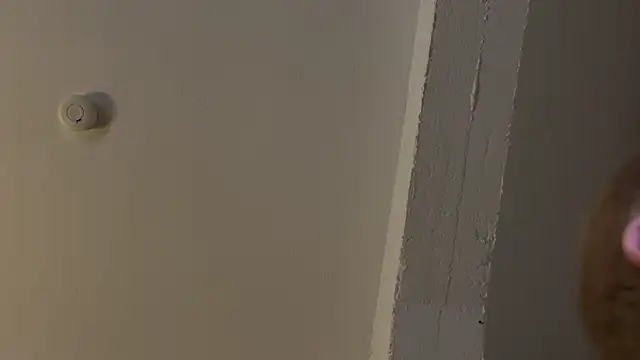 AndyLD20x6 online show from November 29, 2025, 12:02 am