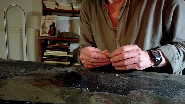 diogene11 online show from November 29, 2025, 10:13 pm