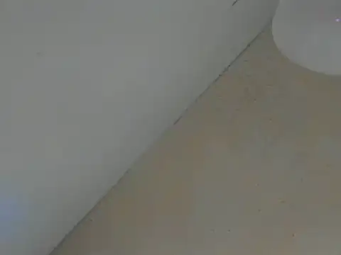 SweeXioji online show from March 2, 2026, 6:59 pm