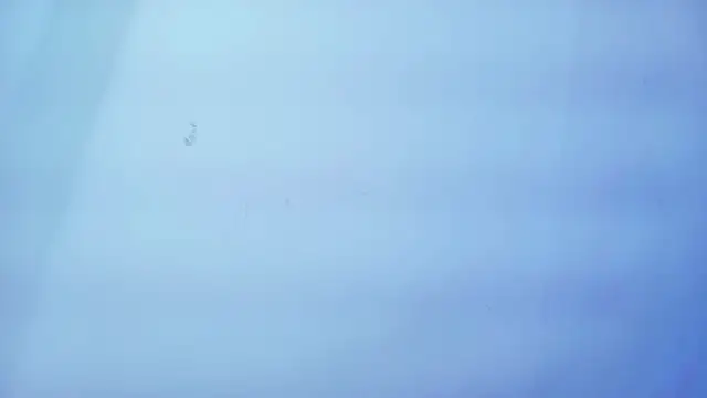 Nicole sounders online show from January 19, 2026, 11:25 am