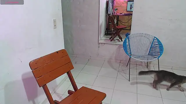 Snapshot of maxI_dick33 chatting on February 14, 2026, 10:23 am maxI dick33 online show from February 14, 2026, 10:23 am