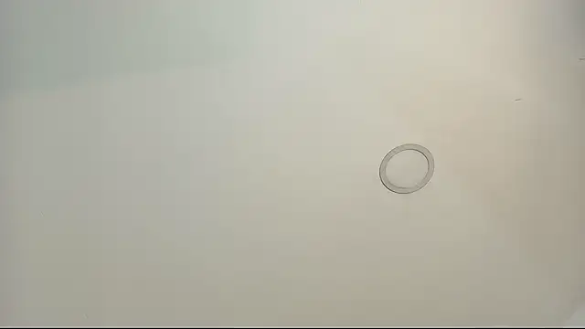 tamara walter online show from February 13, 2026, 3:52 pm