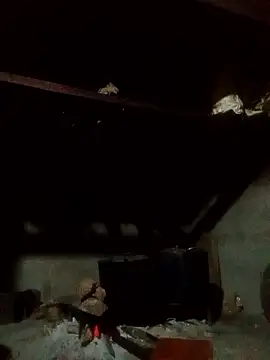 Amiluli online show from January 14, 2026, 1:39 pm